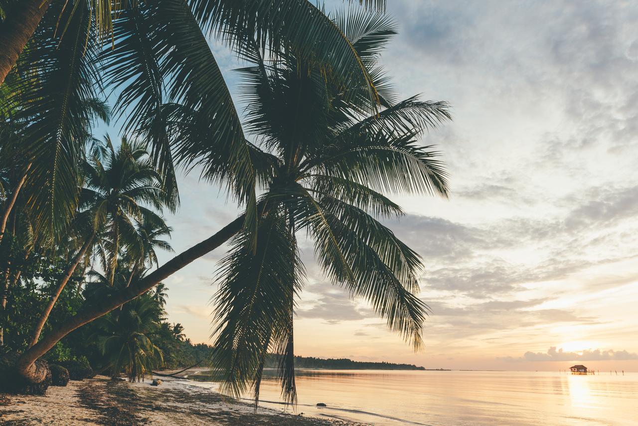 Soultribe Beach Retreat ゼネラル・ルナ エクステリア 写真