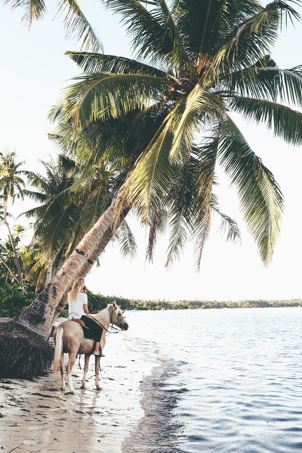 Soultribe Beach Retreat ゼネラル・ルナ エクステリア 写真